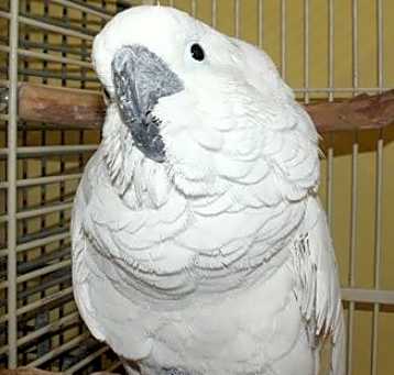 Photo of Gabby