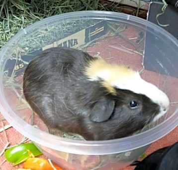 Photo of Max Binx