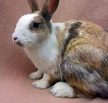 Photo of Mama