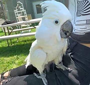 Photo of Paco