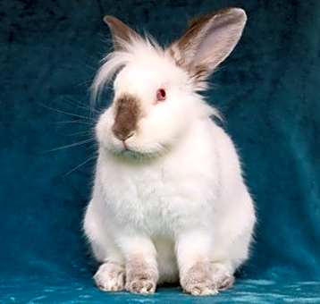 Photo of Kieran