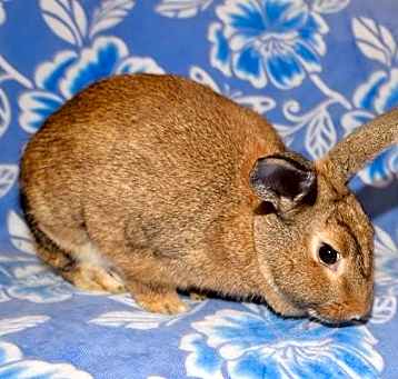 Photo of Lia