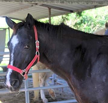 Photo of Lexi