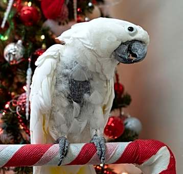 Photo of Baby
