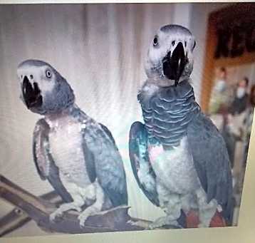 Photo of Bill & Betty