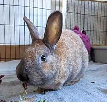 Photo of Shuri