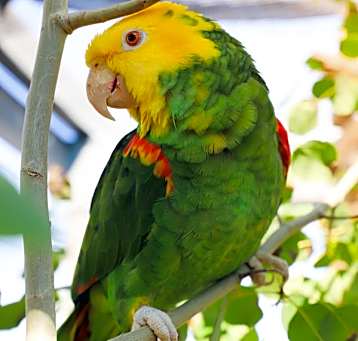 Photo of Juanita