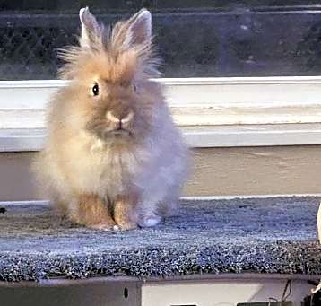 Photo of Charlie
