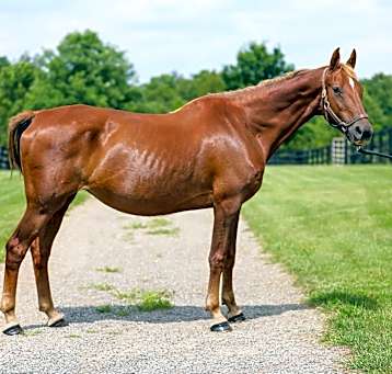 Photo of Ember
