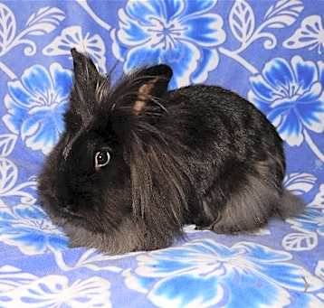 Photo of Brenda