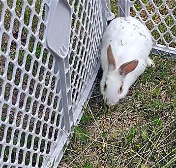Photo of Cloudy