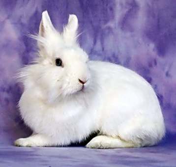 Photo of Aubriella aka Linnea Celeste