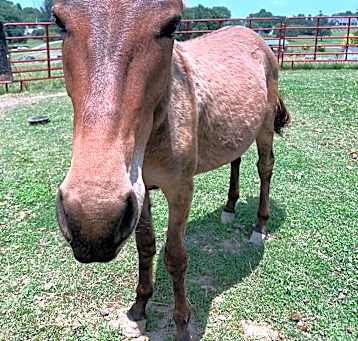 Photo of Zeke