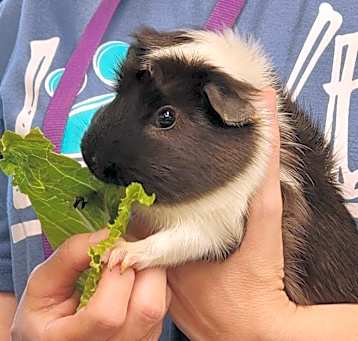Photo of Bakari