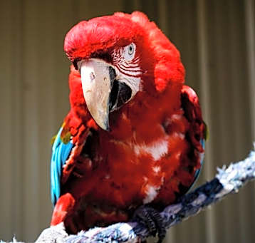 Photo of Frieda