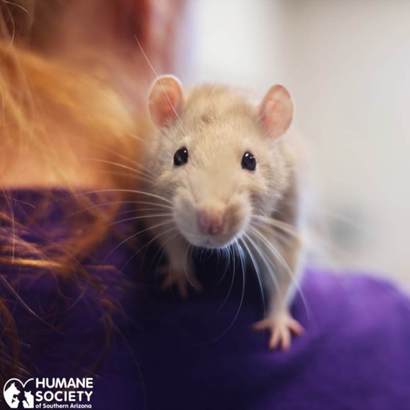 Photo of BARTHOLOMEW #image