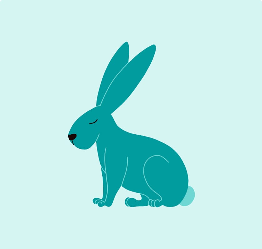 Photo of Bo #image