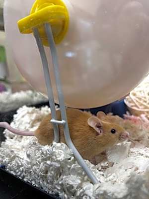 Photo of Stuart #image