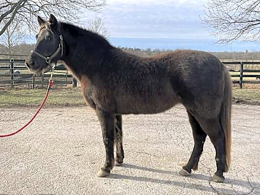 Photo of Miss Grace #image