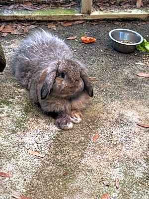Photo of Bunny Sanders #image