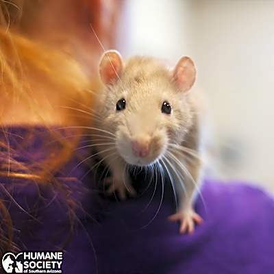 Photo of BARTHOLOMEW #image