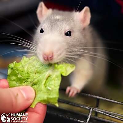 Photo of WILLIAM #image