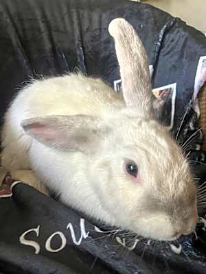 Photo of Tucker #image