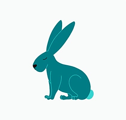 Photo of Bo #image