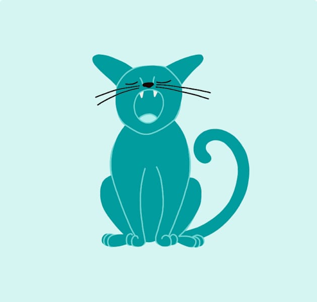 paw print placeholder image
