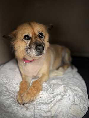 Photo of Ellie #image