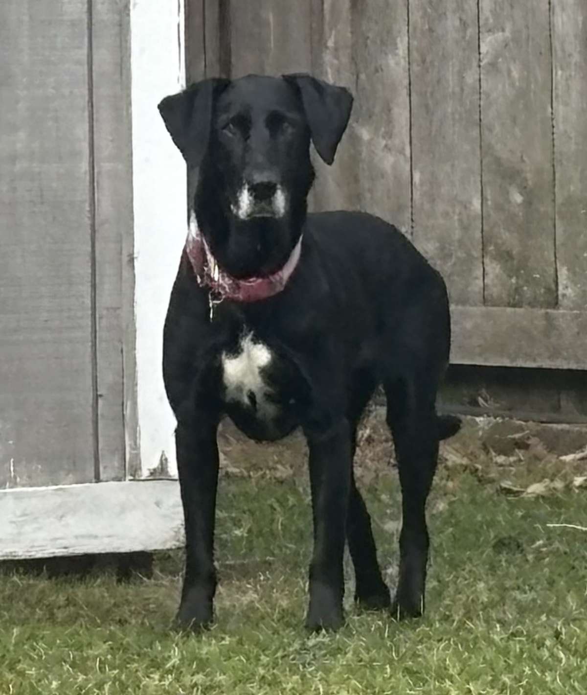 LULU