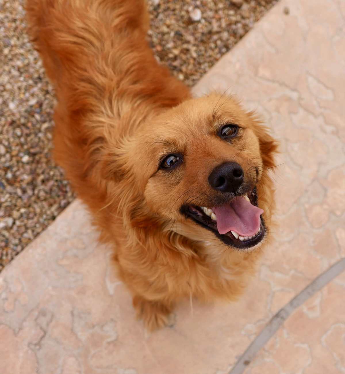 COCO