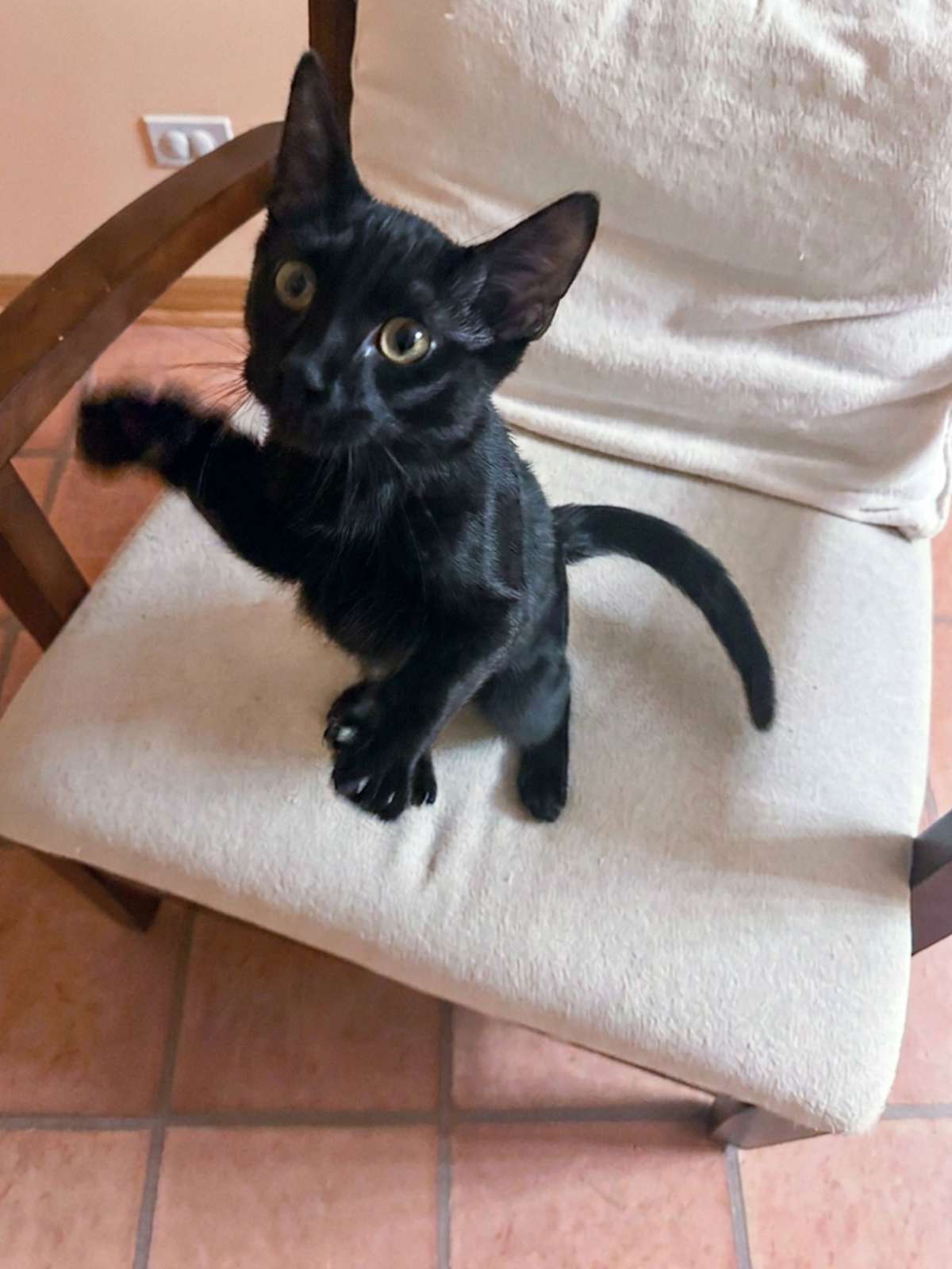 ONYX
