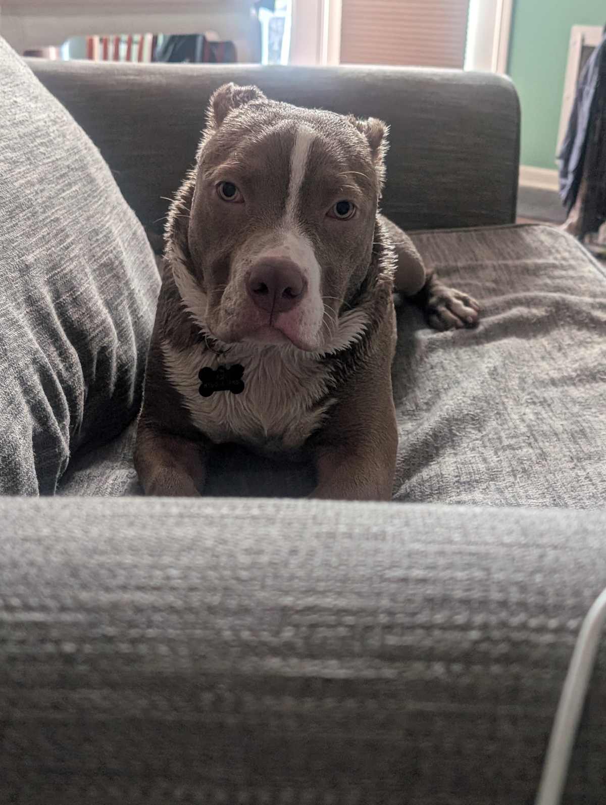 ASH