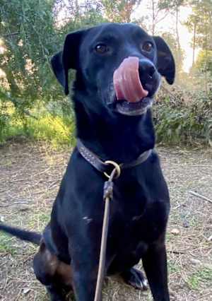 Max - Photo 3