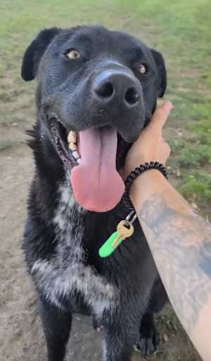 Axel - Photo 1