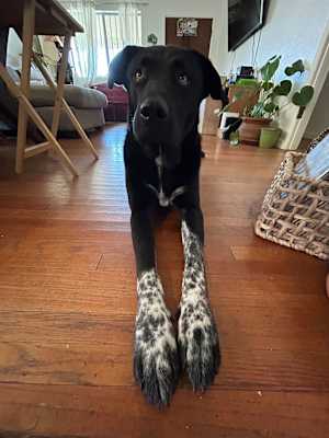 Axel - Photo 3