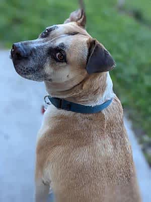 Gigglesworth - Photo 4