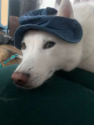 Parker - Photo 3