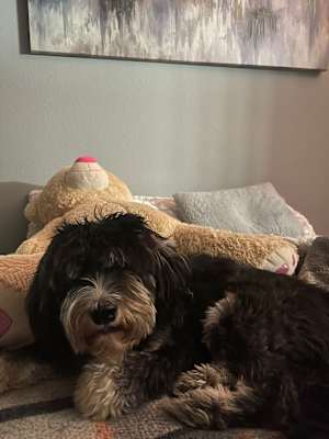Sprocket - Photo 1