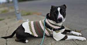 Darlene - Photo 3