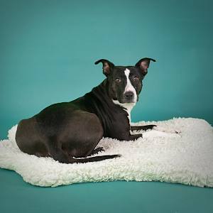 Darlene - Photo 4