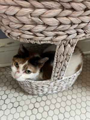 Baby Girl - Photo 2