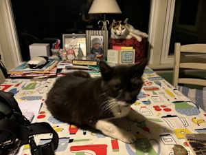 Mommy - Photo 2