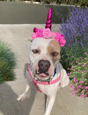 Annie - Photo 3