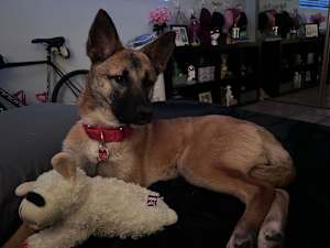 Cece - Photo 2