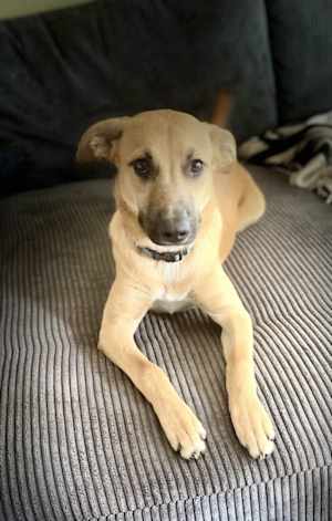 Lulu - Photo 3