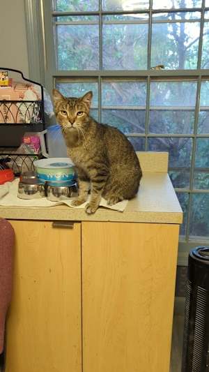 Winston Steve - Photo 2