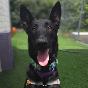 Kiva - Photo 2