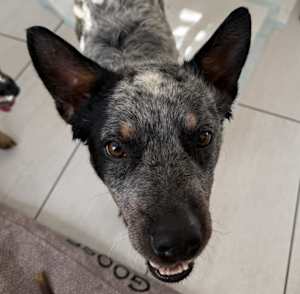 Dale - Photo 1